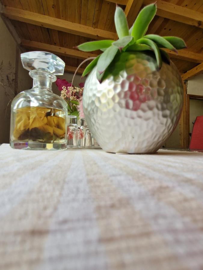 Renate House Hotel Herkulesfürdő Kültér fotó