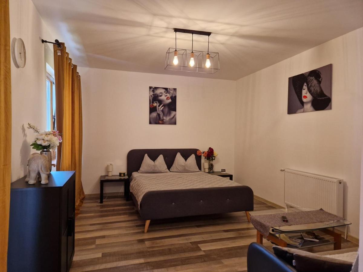 Renate House Hotel Herkulesfürdő Kültér fotó